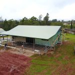 Steel Frame Building in Atherton, Qld